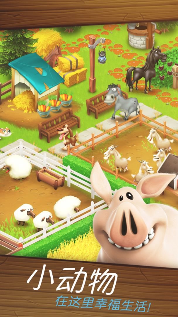 卡通农场国际服(Hay Day)截图_2