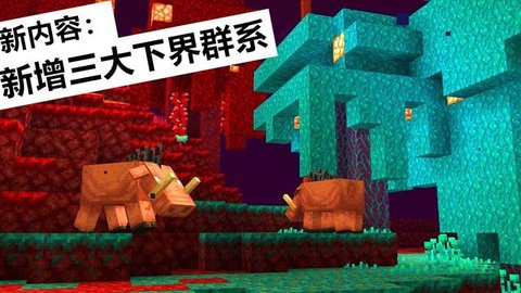 我的世界基岩版1.16正式版 1.16 安卓版截图_2