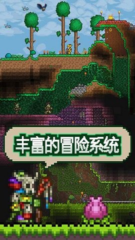 泰拉瑞亚mod直装版 1.7 安卓版截图_4