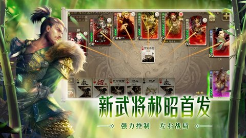 三国杀1v3虎牢关旧版本 3.8.4 安卓版截图_3