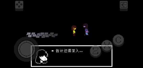 三角符文第二章（Deltarune）截图_4