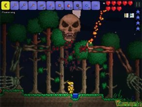 Terraria(泰拉瑞亚wiki)截图_2