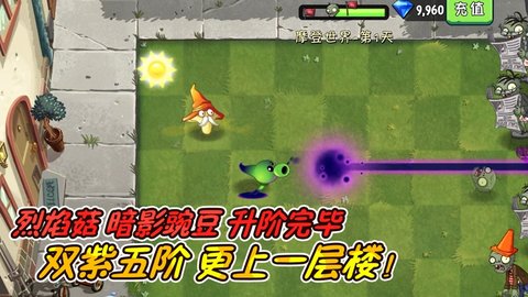 植物大战僵尸带无尽花园智慧树版 2.4.81 安卓版截图_1