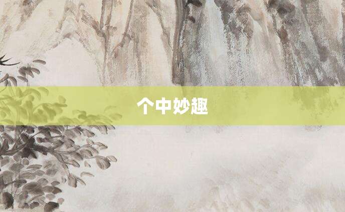 个中妙趣