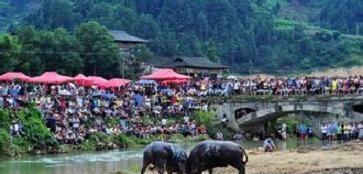 苗族吃新节简介,苗族人在吃新节上有啥活动 苗族吃新节简介,苗族人在吃新节上有啥活动