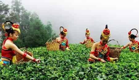 德昂族的茶俗:德昂族用喝茶言情用茶传意 德昂族的茶俗:德昂族用喝茶言情用茶传意