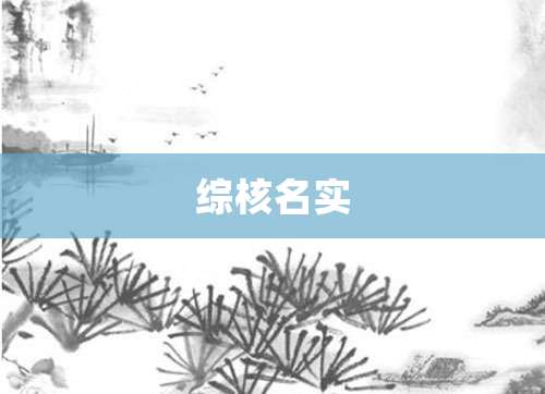综核名实