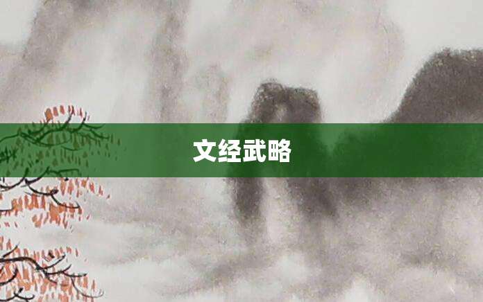 文经武略