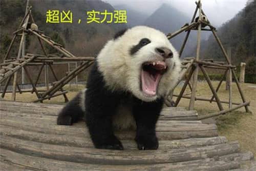 蚩尤坐骑是什么?