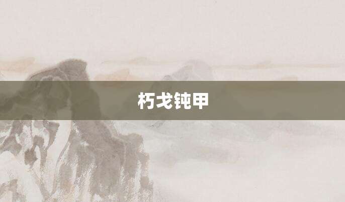 朽戈钝甲