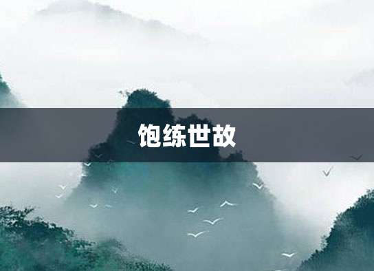 饱练世故