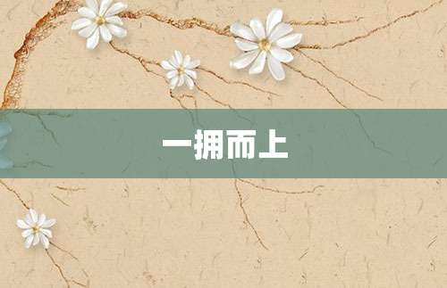一拥而上