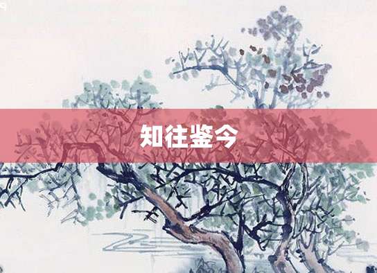 知往鉴今