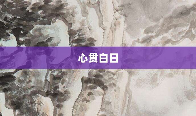 心贯白日