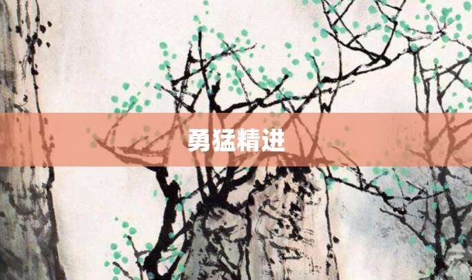 勇猛精进