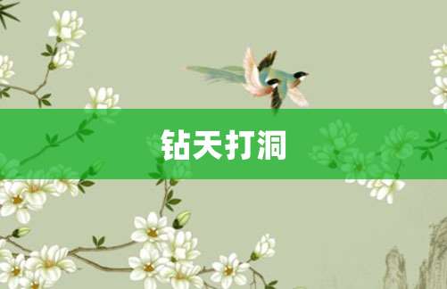 钻天打洞