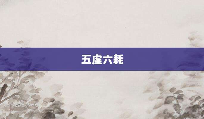 五虚六耗