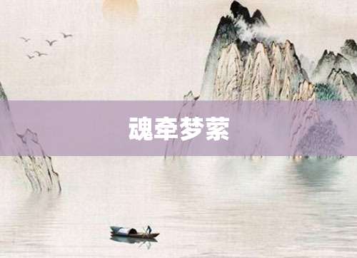 魂牵梦萦