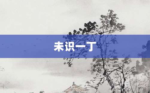 未识一丁