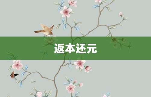 返本还元