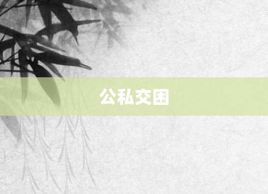 公私交困