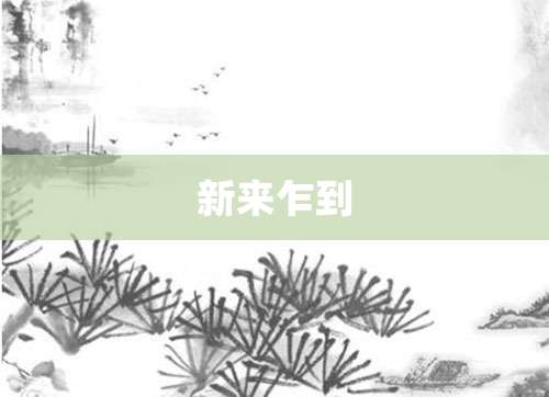 新来乍到